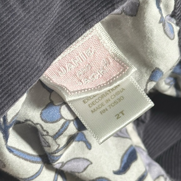 Janie & Jack Purple Blue Floral Embroidered Corduroy Jumper Dress size 2T - Picture 7 of 13